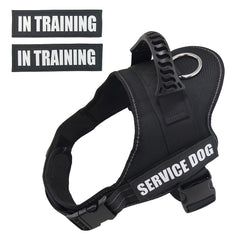Harnais pour Chien d'Assistance avec Patchs Réfléchissants | Gilet Anti-Traction