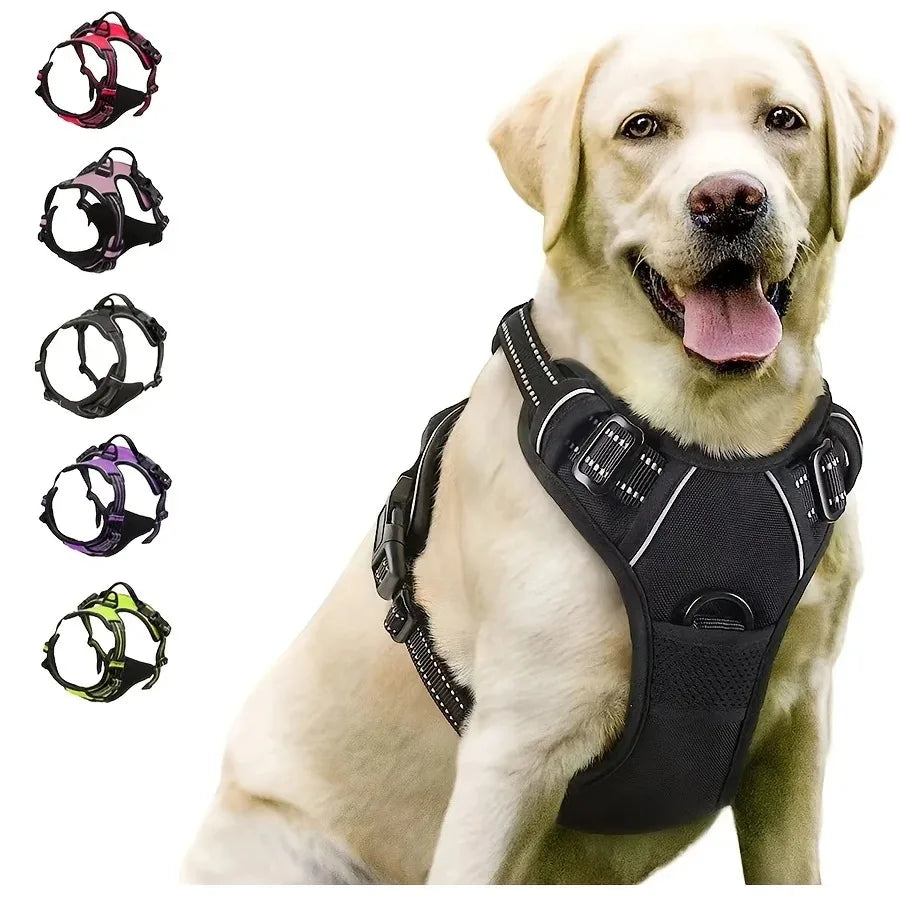 Premium Dog Harness & Leash Set