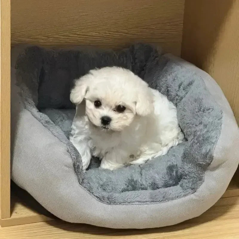Ultra Soft Washable Dog Bed | Cozy Pet Sofa Cushion