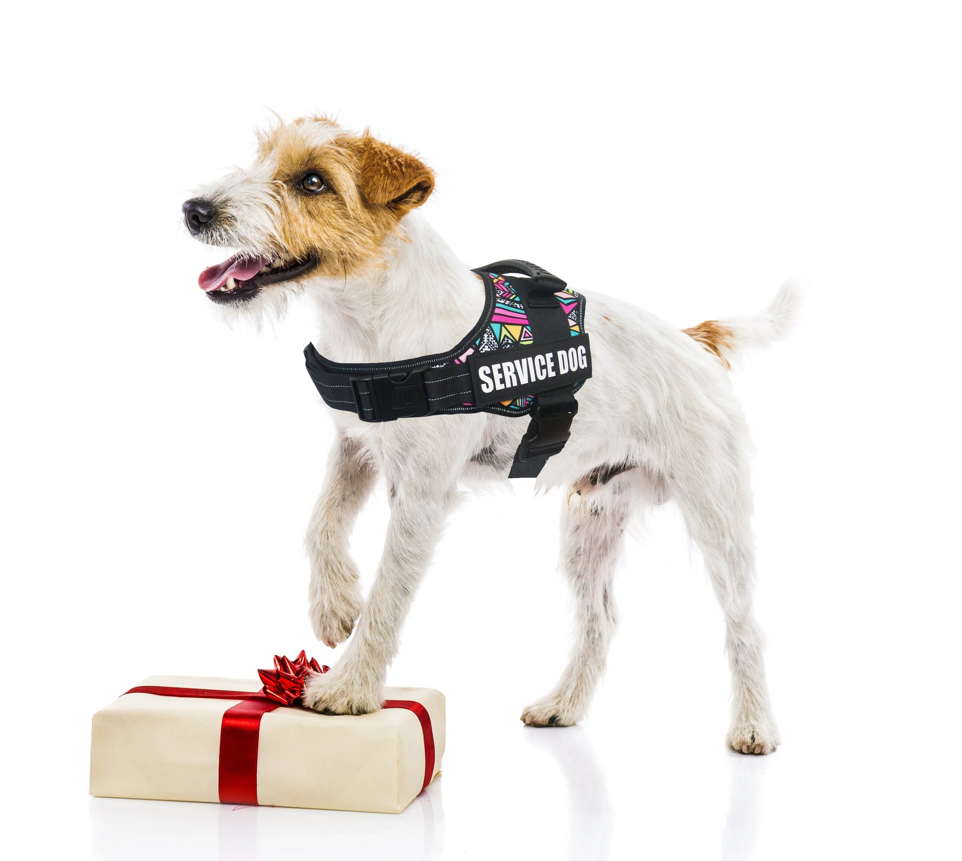 Service Dog Harness with Reflective Patches | No-Pull Support Vest