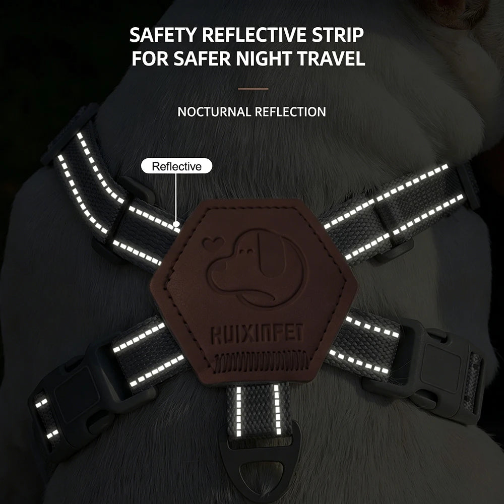 Reflective No-Pull Dog Harness & Leash Set