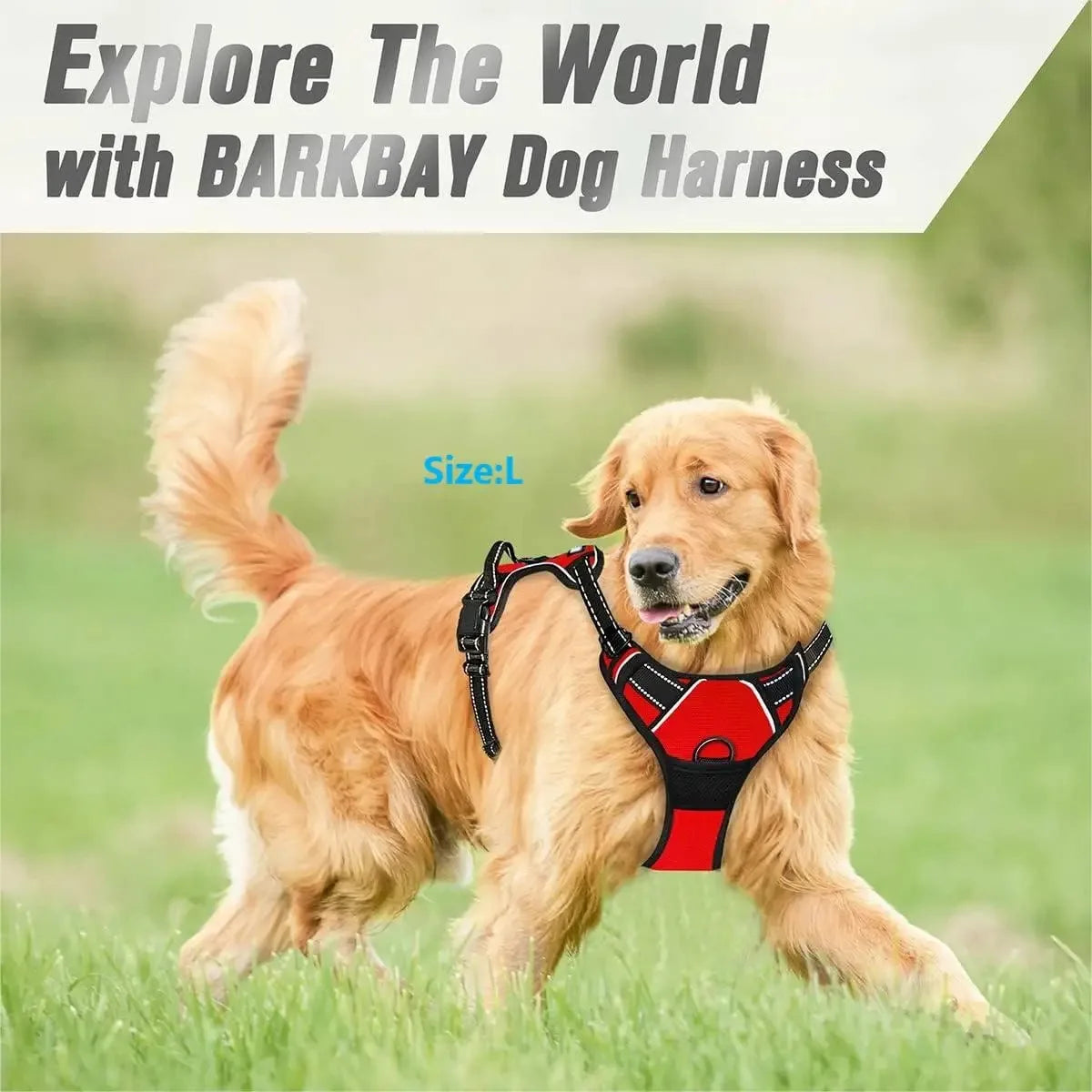 Premium Dog Harness & Leash Set