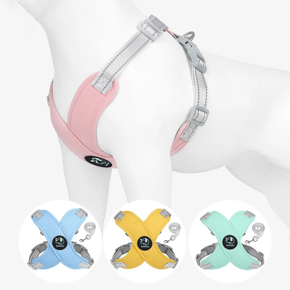 Reflective No-Pull Dog Harness & Leash Set