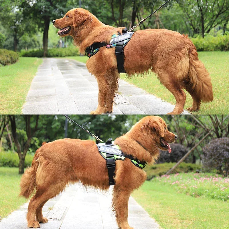 Premium No-Pull Adjustable Dog Harness | Reflective & Breathable