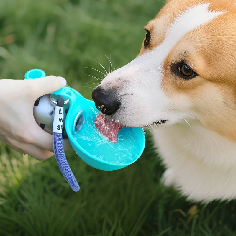 Compact Stainless Steel Dog Water Bottle
