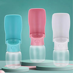 Gourde Pliable Portable pour Chien