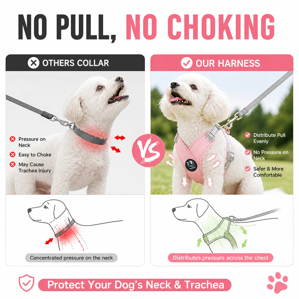 Reflective No-Pull Dog Harness & Leash Set