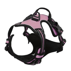 Ensemble Harnais et Laisse Premium pour Chien
