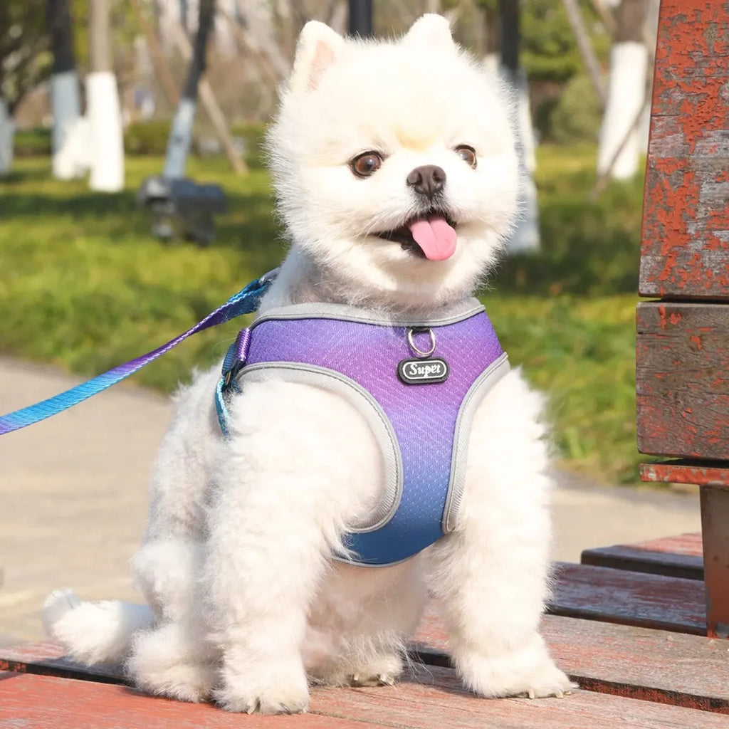 Adjustable Step-In Dog Harness