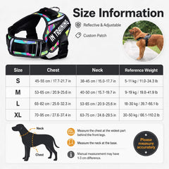 Harnais pour Chien Anti-Traction Premium | Réfléchissant et Respirant