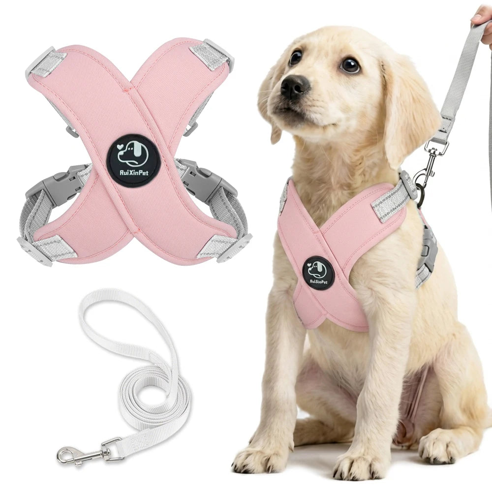 Reflective No-Pull Dog Harness & Leash Set