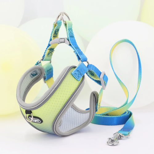 Adjustable Step-In Dog Harness