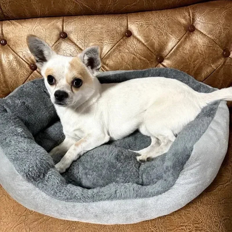 Ultra Soft Washable Dog Bed | Cozy Pet Sofa Cushion