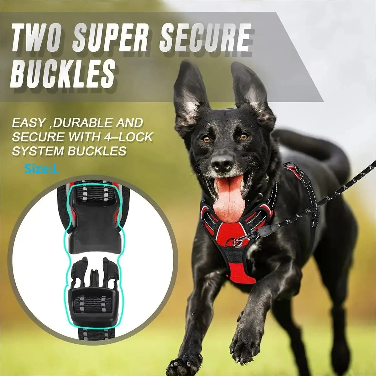 Premium Dog Harness & Leash Set