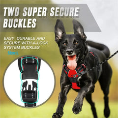 Ensemble Harnais et Laisse Premium pour Chien