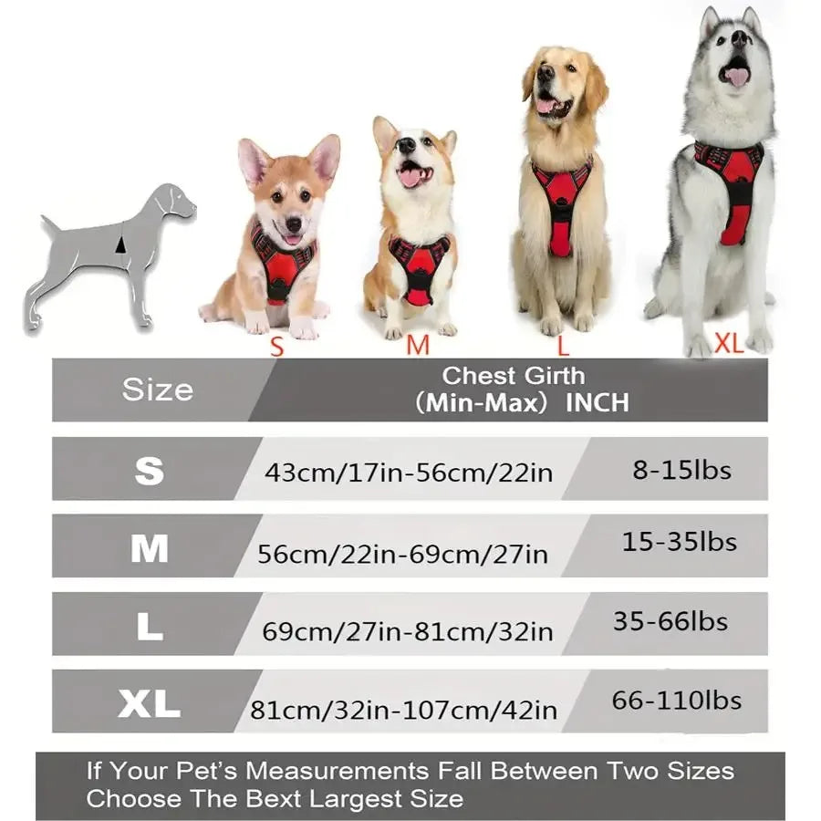Premium Dog Harness & Leash Set