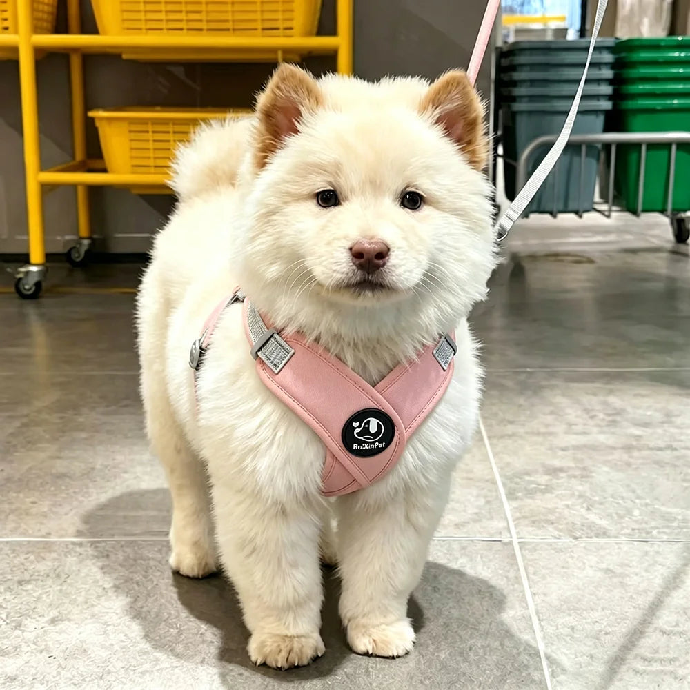 Reflective No-Pull Dog Harness & Leash Set