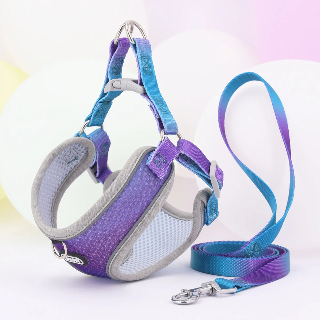 Adjustable Step-In Dog Harness