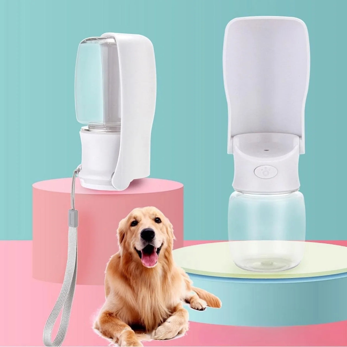 Gourde Pliable Portable pour Chien