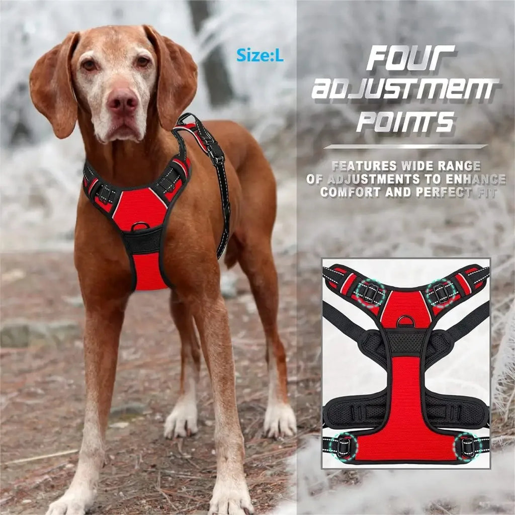 Premium Dog Harness & Leash Set