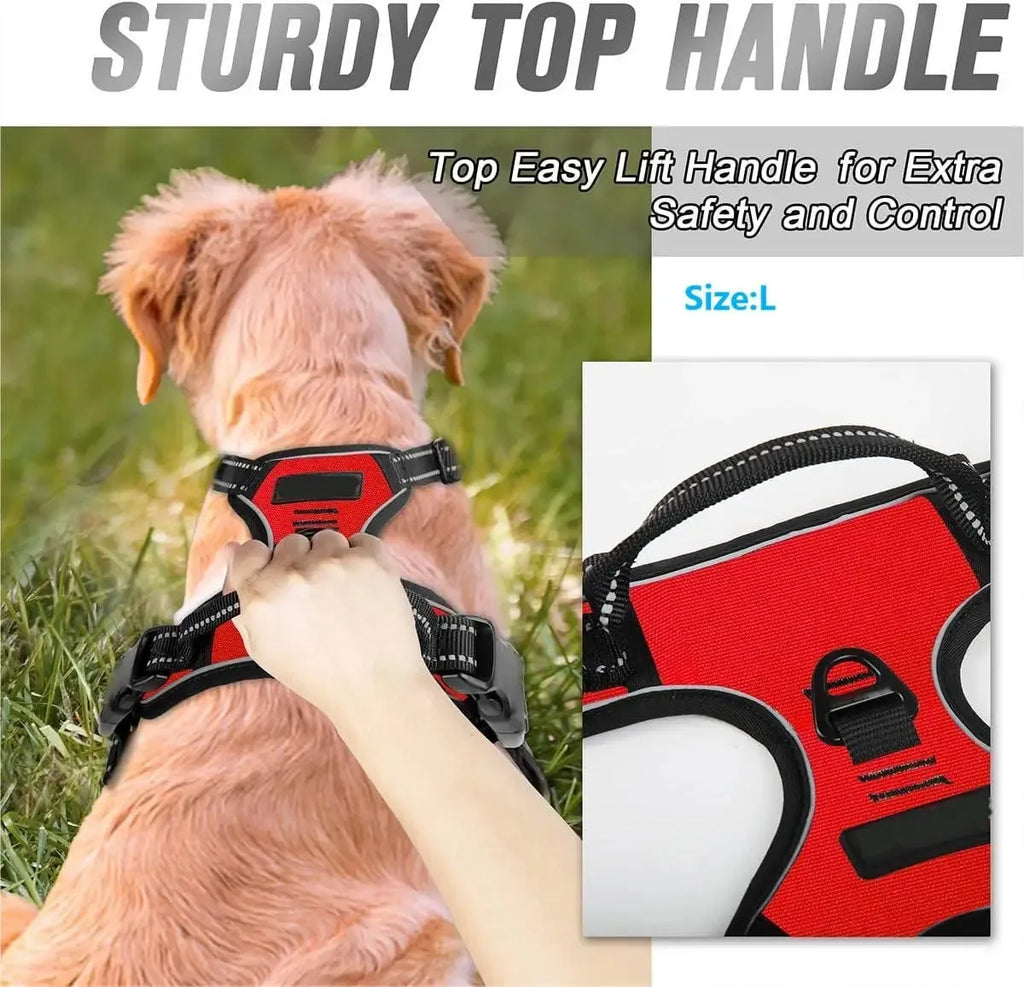 Premium Dog Harness & Leash Set