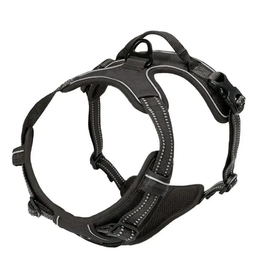 Premium Dog Harness & Leash Set